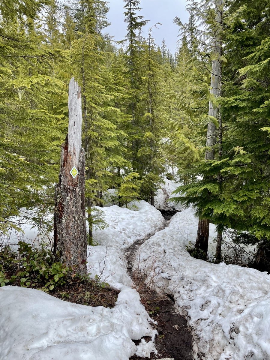 Sea to Summit trail Squamish BC Snow Near the Top