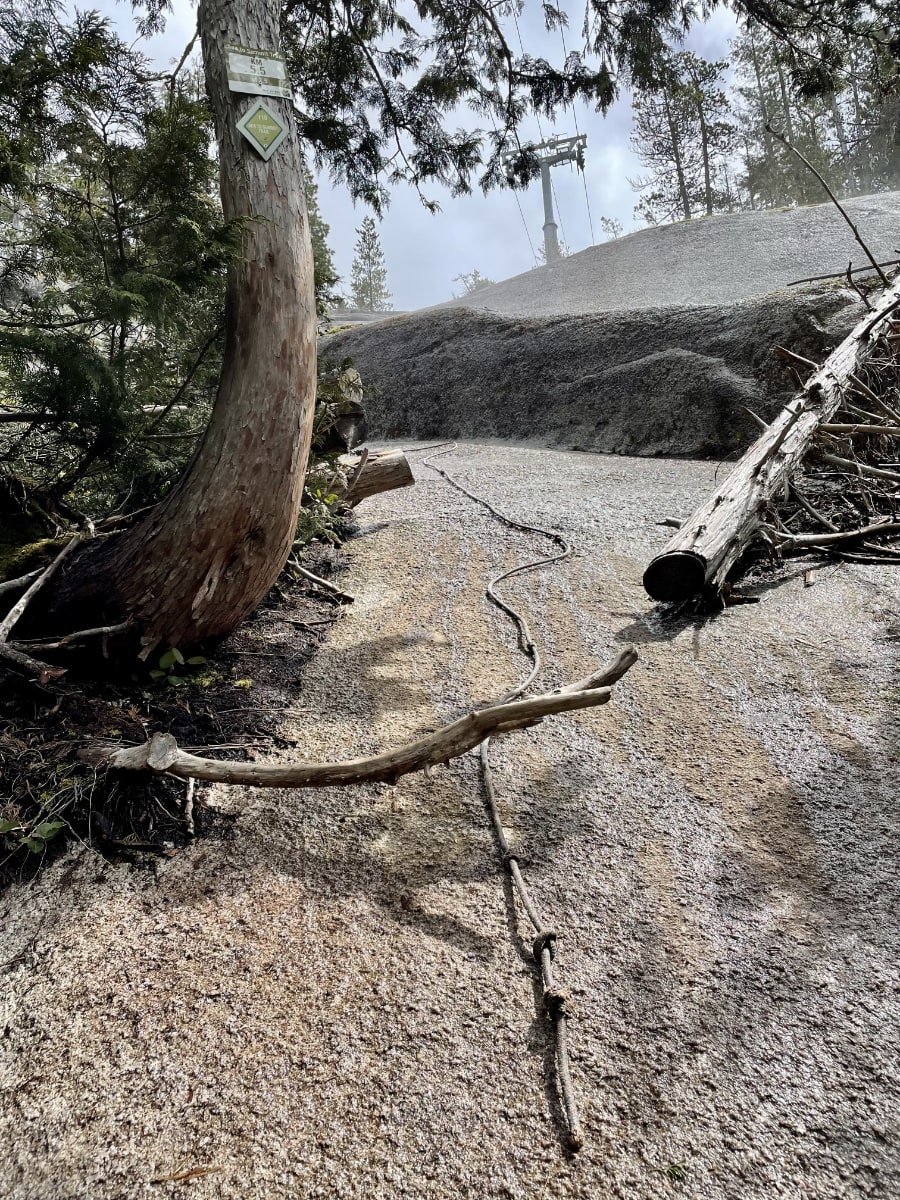 Hiking the Sea to Summit Trail in Squamish - Best Hikes BC