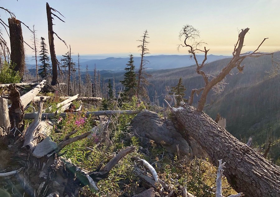 Mount Hood Timberline Trail - North Early Morning Landscape View