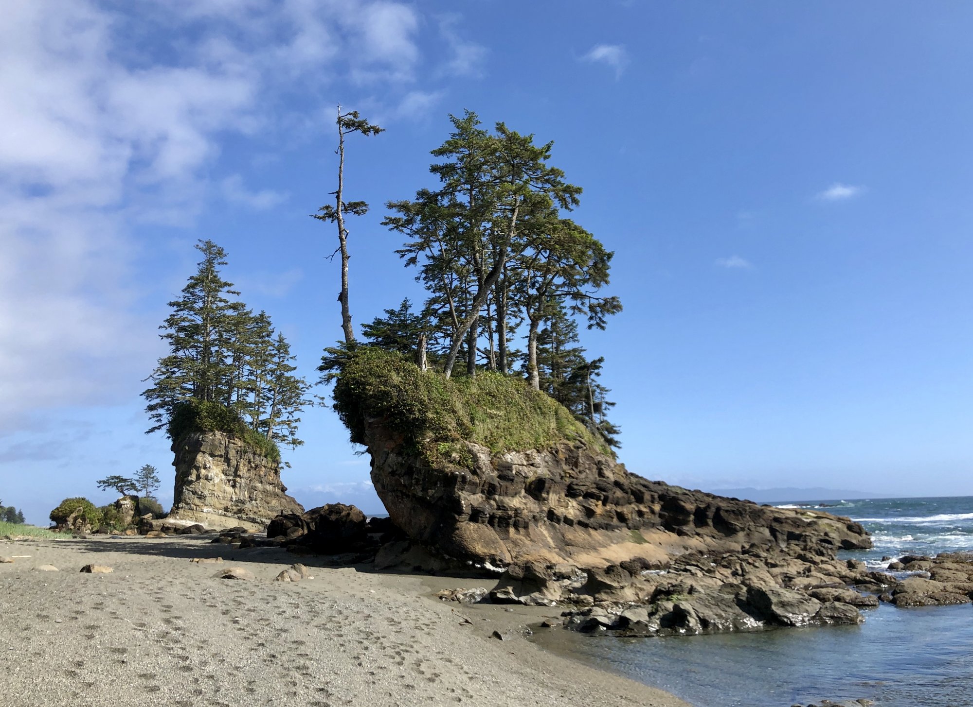 Bonsai-like Rock/Tree Formation on the West Coast Trail