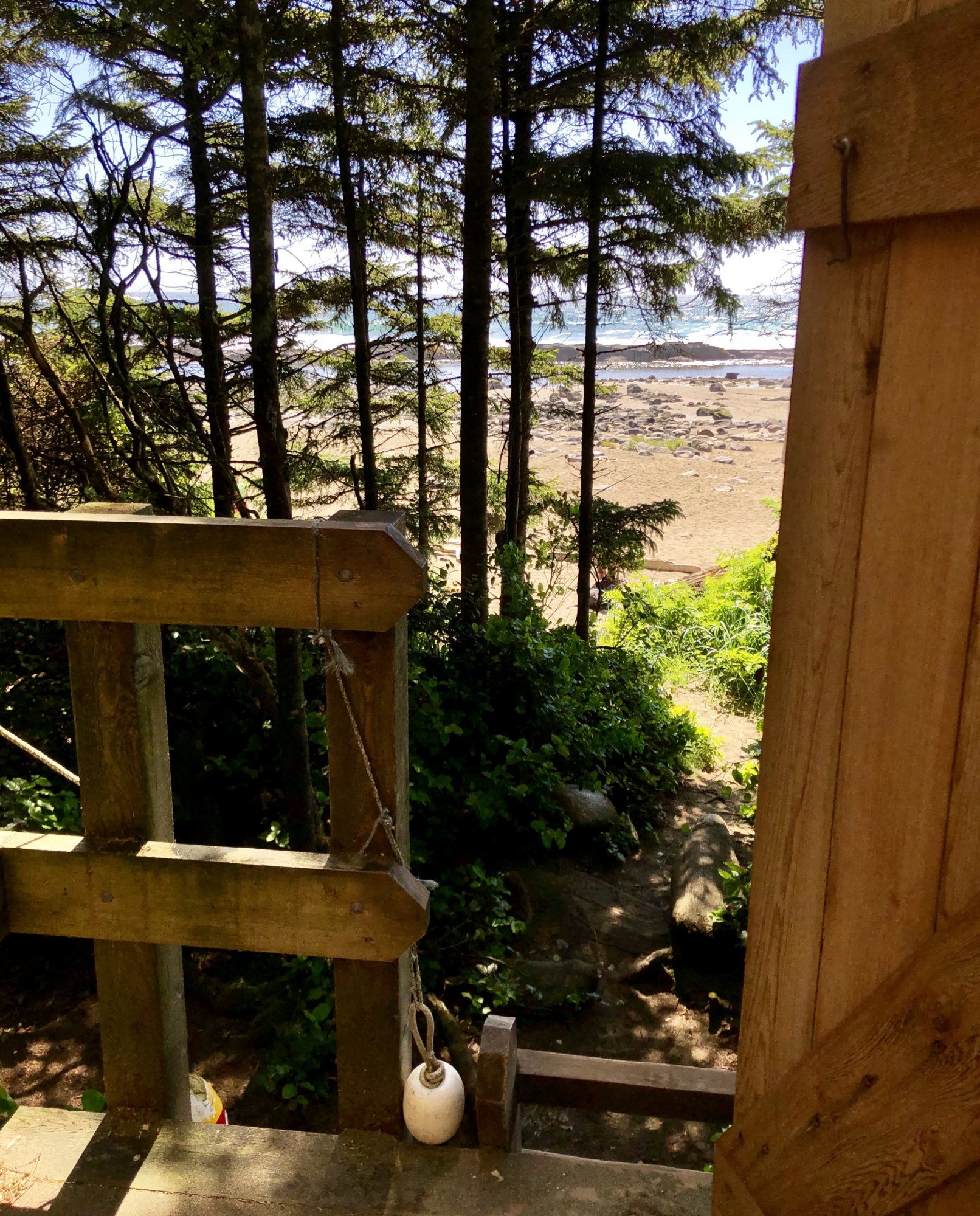 The view you could enjoy while you poo at Cribs Creek on the West Coast Trail