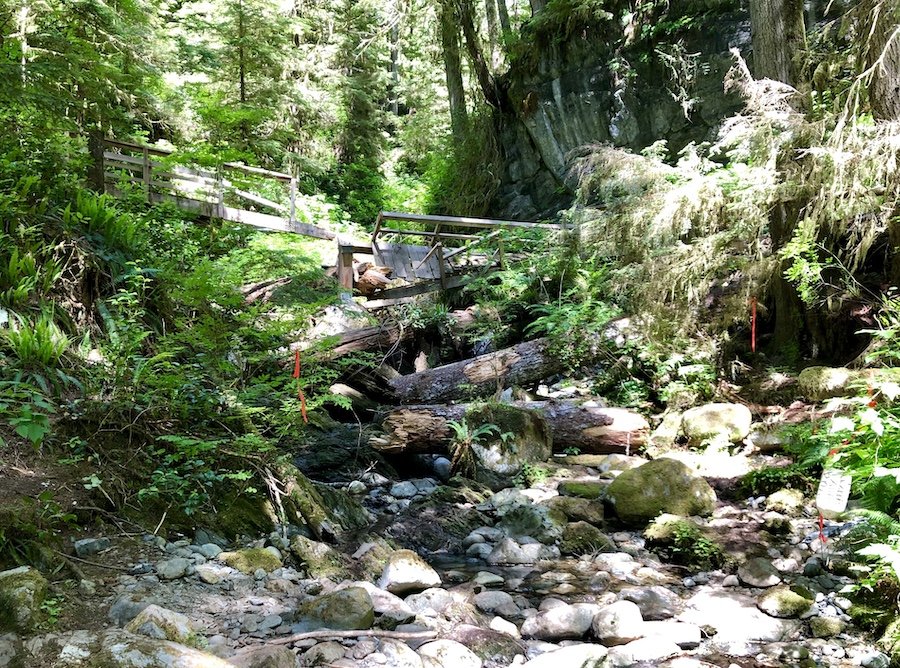 Broken bridge on the trail from Thrasher Cove to Gordon River, West Coast Trail