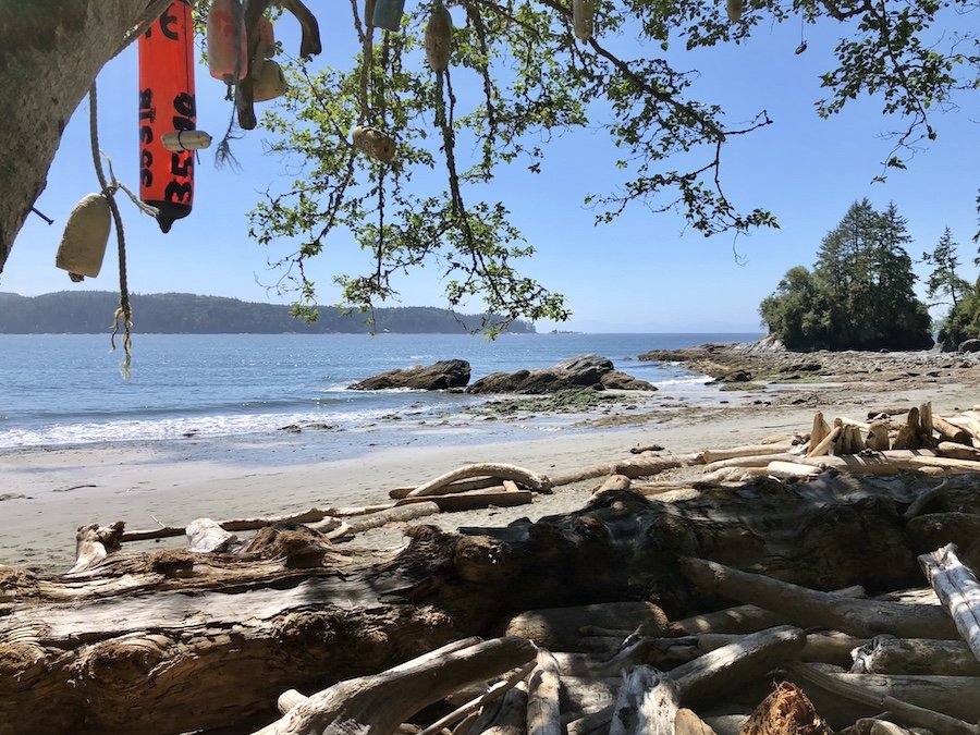 View from Thrasher Cove, West Coast Trail