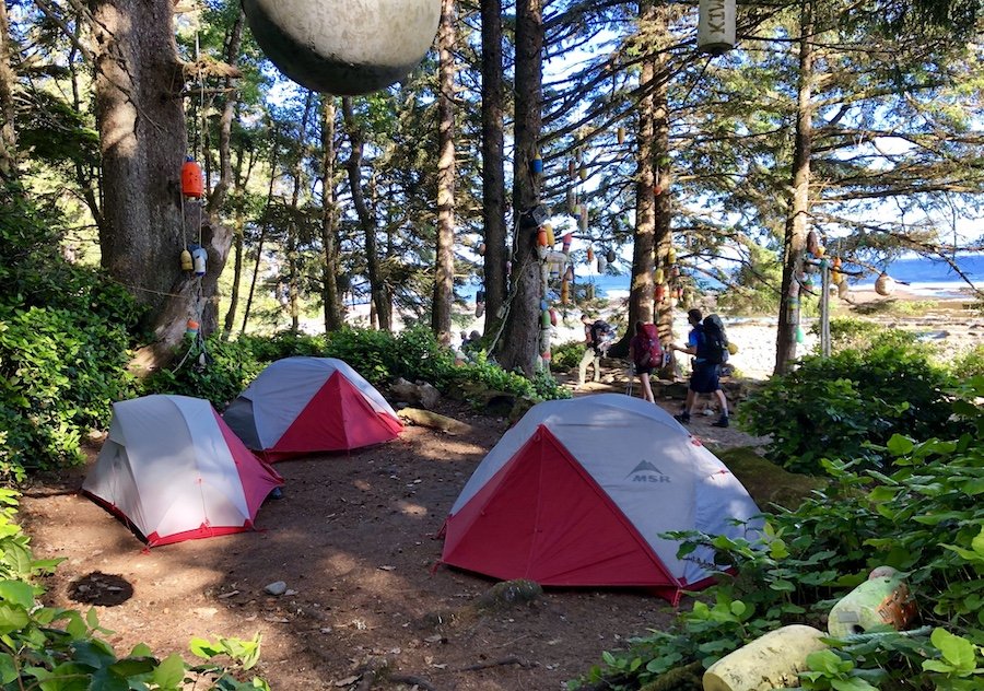 Michigan Creek camp area on the West Coast Trail