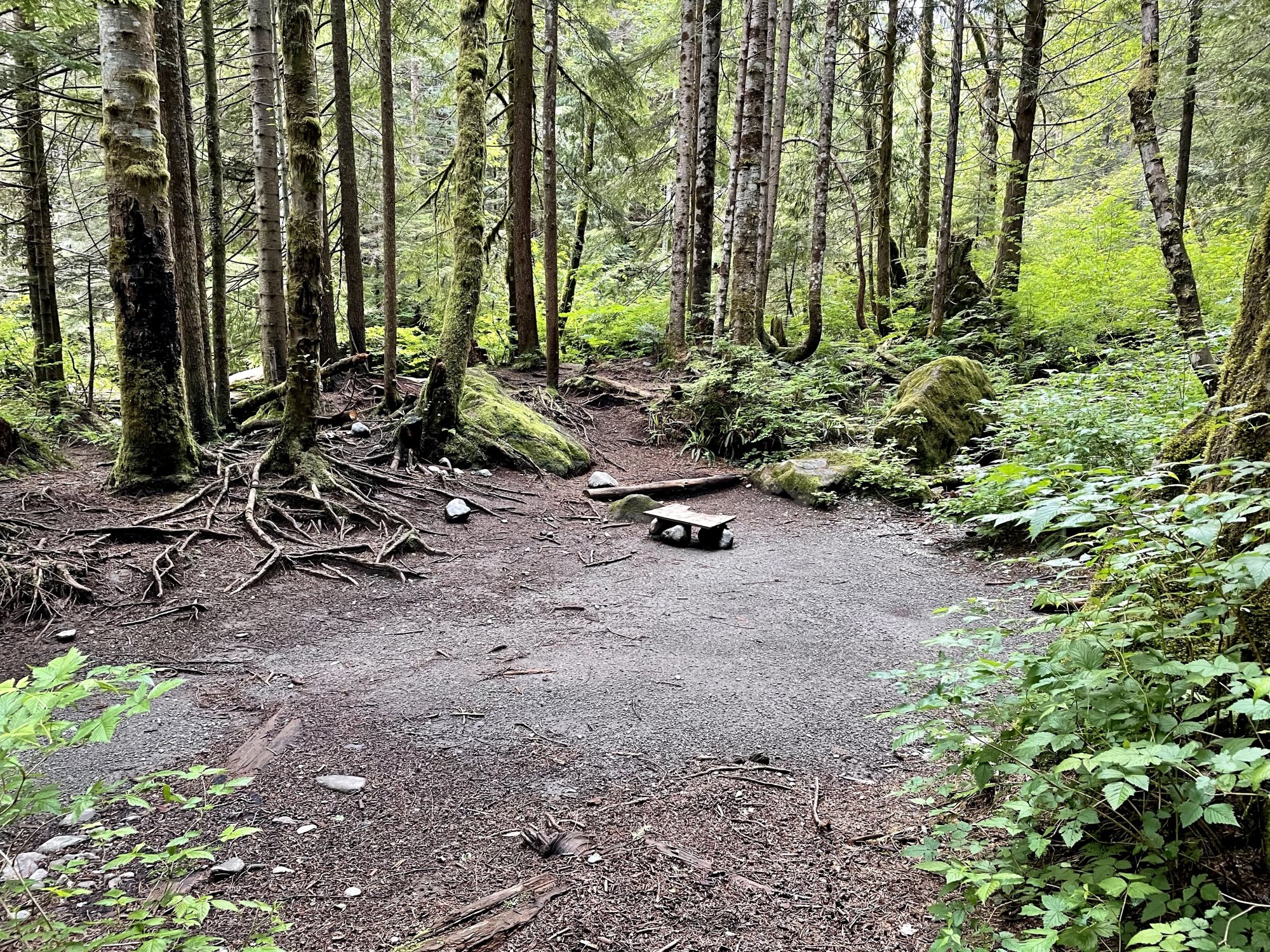 A campsite at Alder Flats, Golden Ears Provincial Park