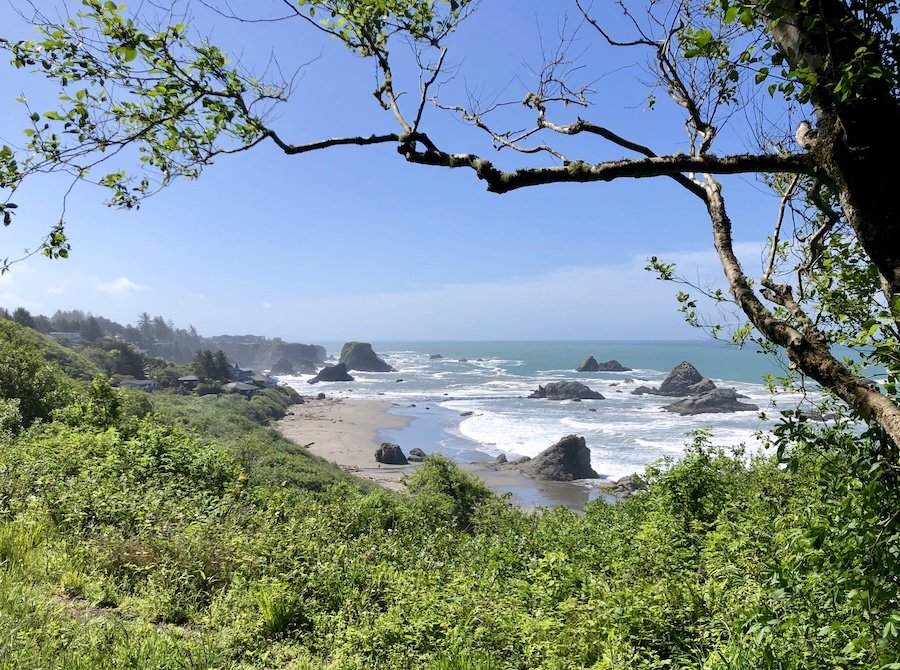 View from South Beach Trail, Harris Beach