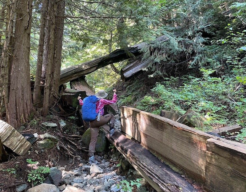 Hiking through fallen trees on the Golden Ears Trail