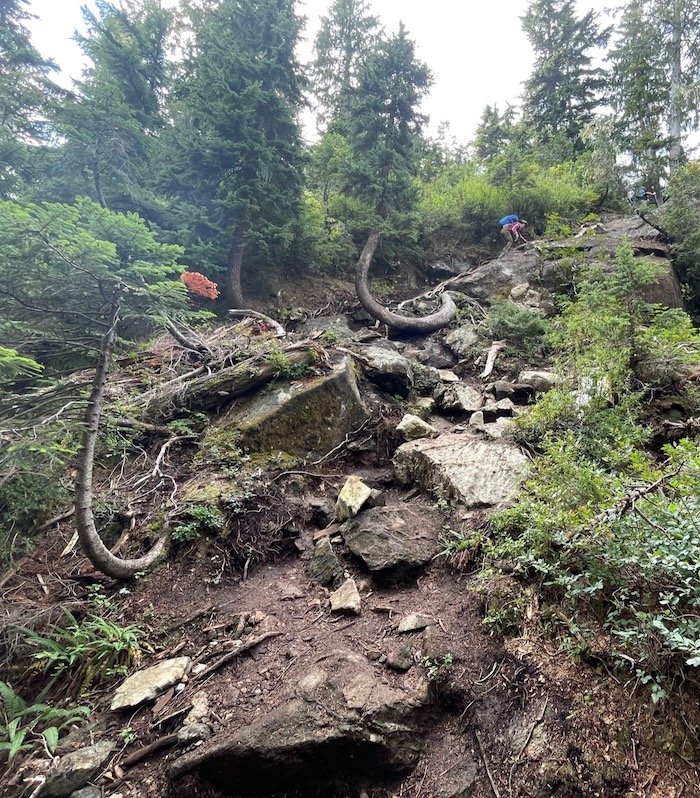 Super sketchy technical section of the Golden Ears Trail