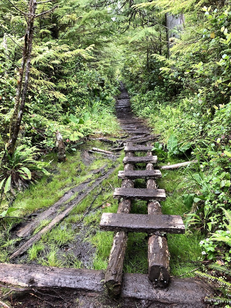 An older built wood crossings, Cape Scott Trail, Cape Scott Provincial Park