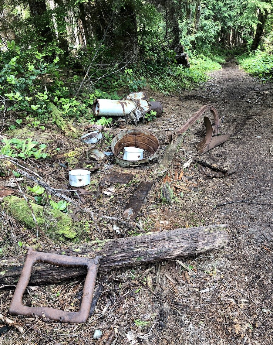 Early 1900s Danish settler farming implements, Cape Scott Trail, Cape Scott Provincial Park