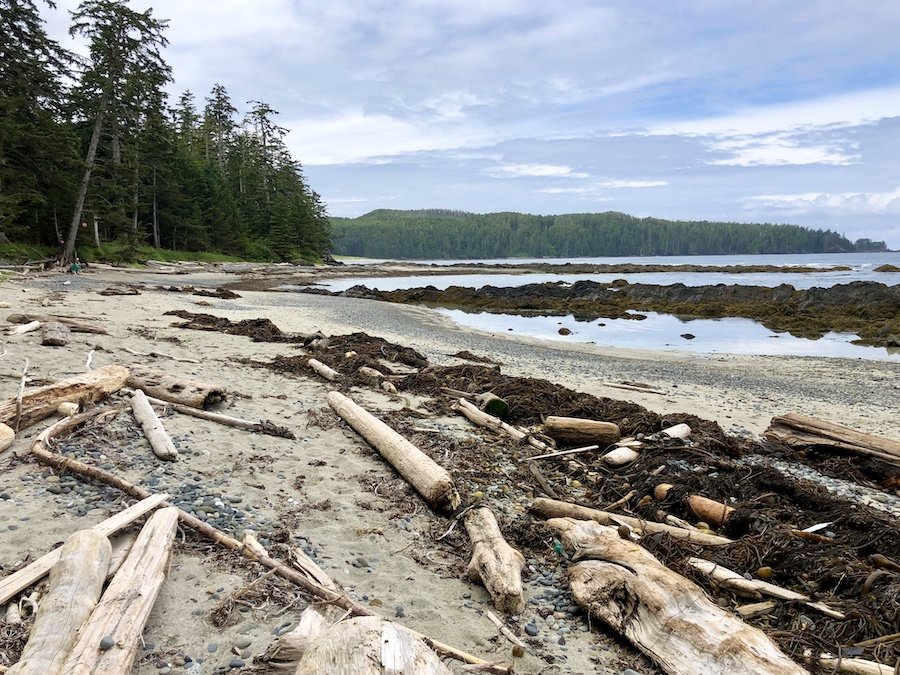 Experimental Bight, Cape Scott Provincial Park