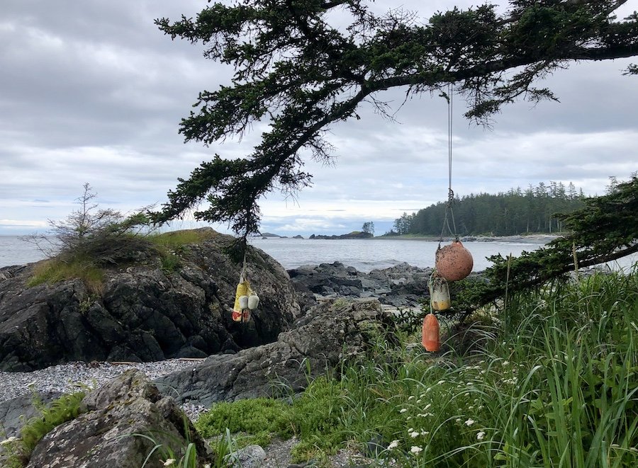 Spirits buoyed on the coastal trail from Shuttleworth Bight to Cape Sutil, North Coast Trail