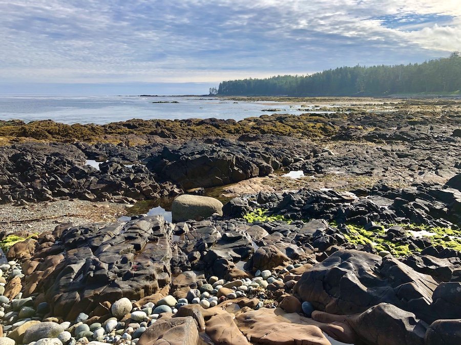 Hiking at low tide, Laura's Creek to Shuttleworth Bight, North Coast Trail