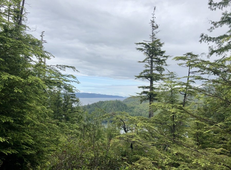 First view of Shushartie Bay, North Coast Trail