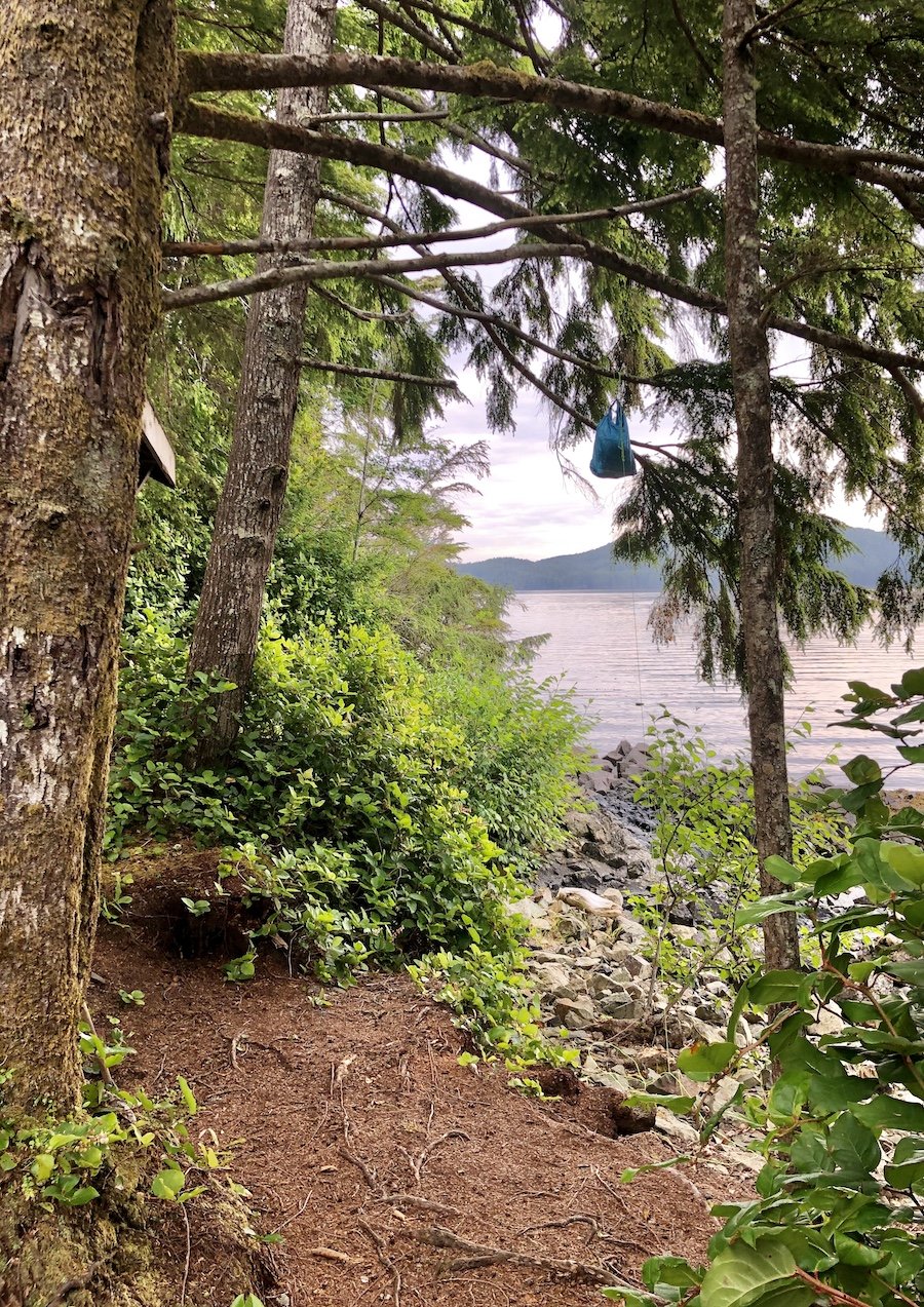 Bear hang at Shushartie Bay Campsite, North Coast Trail