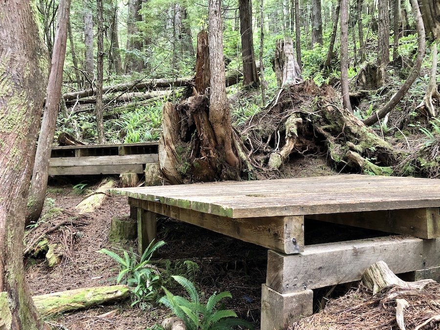 Shushartie Bay Campsite, North Coast Trail