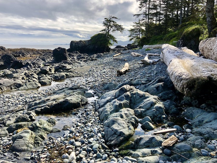 Hiking at low tide, Laura's Creek to Shuttleworth Bight, North Coast Trail