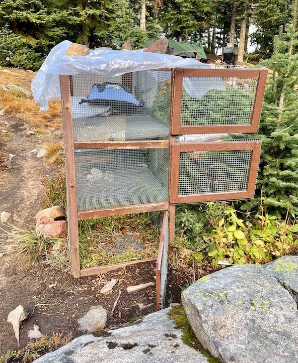 Wire Critter-Proof Boxes at Quiniscoe Lake Campground, Cathedral Provincial Park
