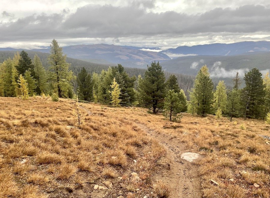 Looking back on Centennial Trail, Cathedral Provincial Park