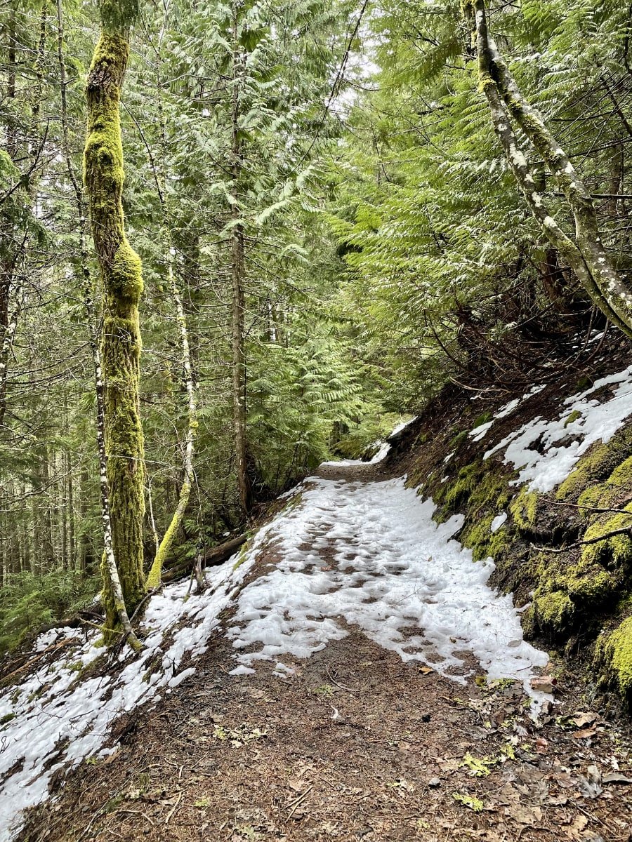 Early Spring Conditions close to the Rubble Creek Trailhead